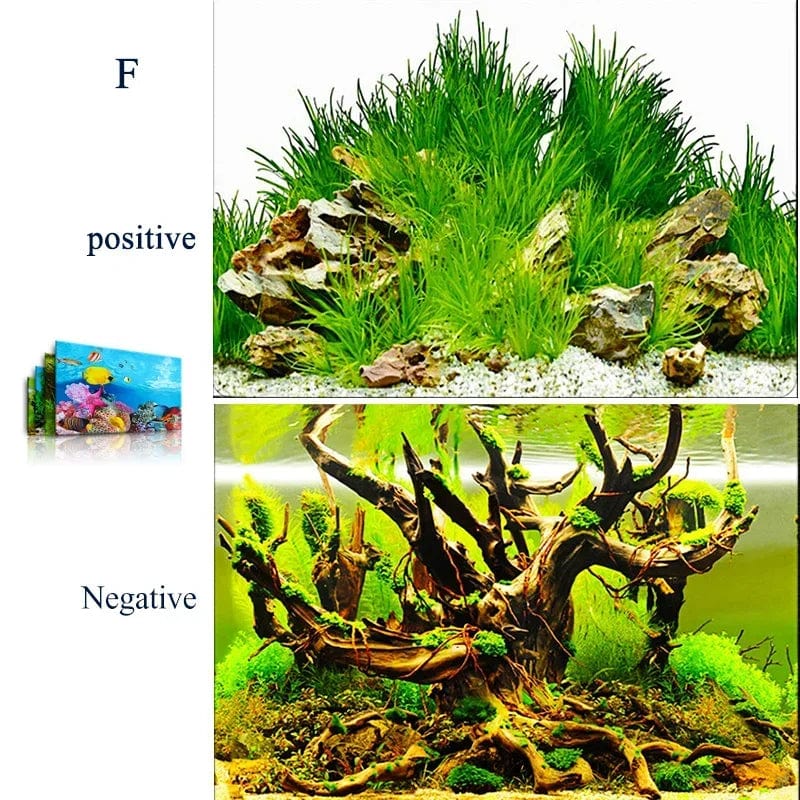 3D Meeresmotiv für Aquarien - Wandaufkleber und Poster Zubehör