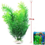 Aquarienpflanze für die Simulation – Wasserpflanzen