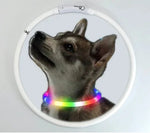 Hundehalsband mit buntem Silikon und LED – abnehmbar, leuchtend, USB aufladbar