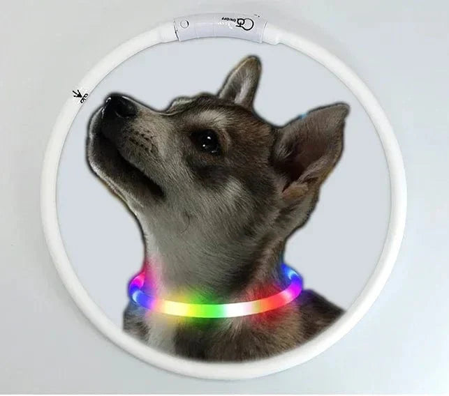 Hundehalsband mit buntem Silikon und LED – abnehmbar, leuchtend, USB aufladbar