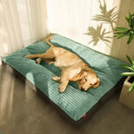 Orthopedic Dog Bed for Pets – Comfort and Support