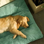 Orthopedic Dog Bed for Pets – Comfort and Support