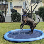 Splash Fun for Pets | Refreshment for Every Day!