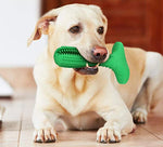 Haustierspielzeug Zahnbürste für Hunde und Katzen