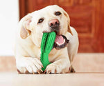 Haustierspielzeug Zahnbürste für Hunde und Katzen
