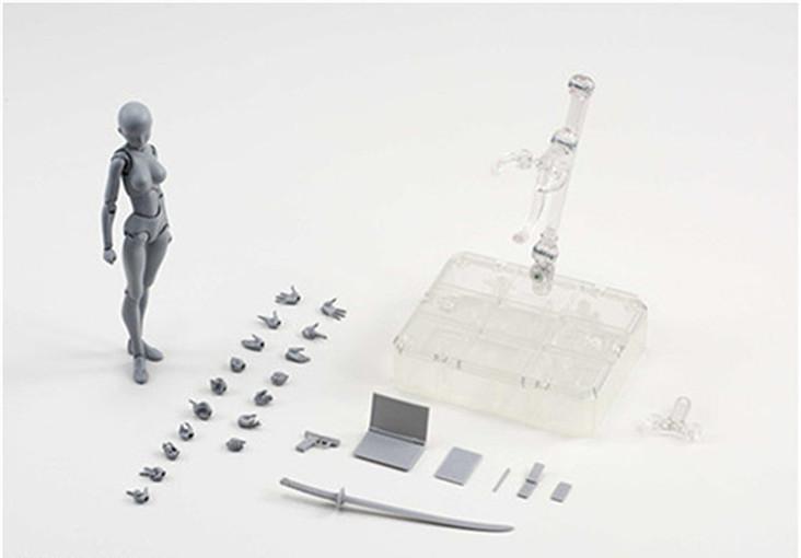 Körpermodell für Künstler - Body-Kun