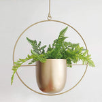 Eleganter Metallpflanzenhalter für Wand oder Decke – FloraFrame