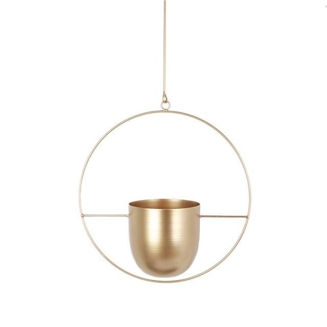 Eleganter Metallpflanzenhalter für Wand oder Decke – FloraFrame