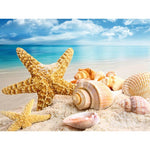 Muscheln am Strand - GemPaint Set
