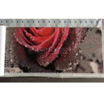 GemPaint Set - Farbverlauf Rose