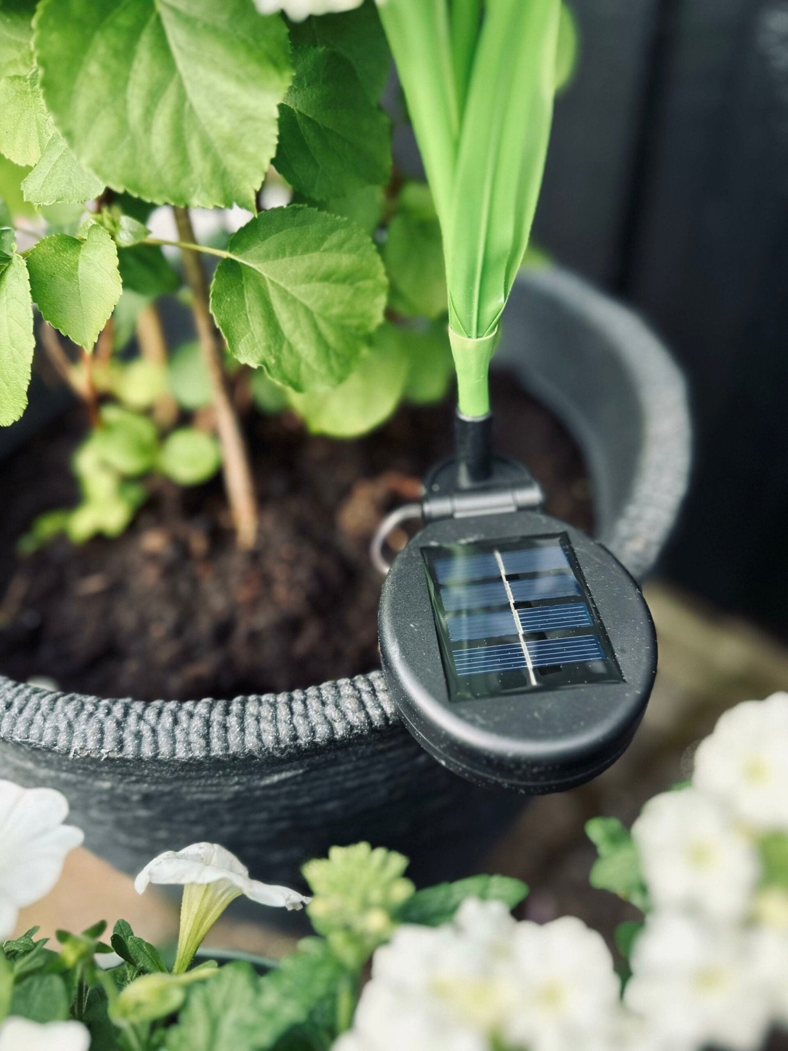 Solarbetriebene Gartenstecker mit 3 Leuchtblüten