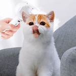 Grooming made easy with the AquaBrush Pro