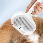 Grooming made easy with the AquaBrush Pro
