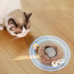 FelineFun | Interaktive Jagdball für Katzen