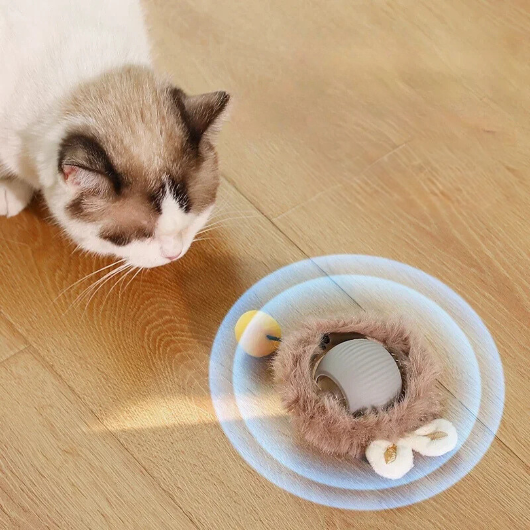 FelineFun | Interaktive Jagdball für Katzen