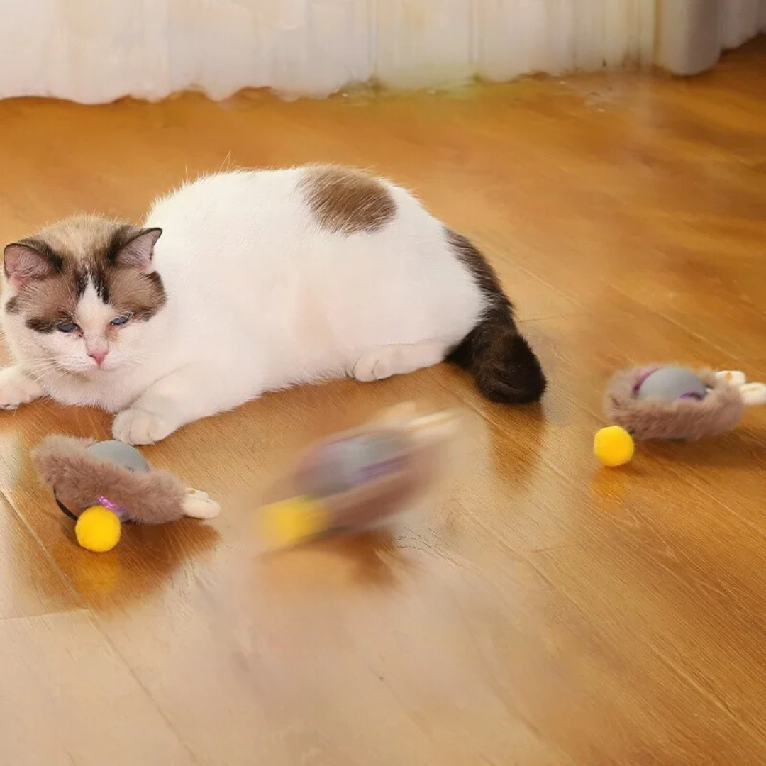 FelineFun | Interaktive Jagdball für Katzen