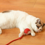 FelineFun | Interaktive Jagdball für Katzen