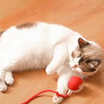 FelineFun | Interaktive Jagdball für Katzen