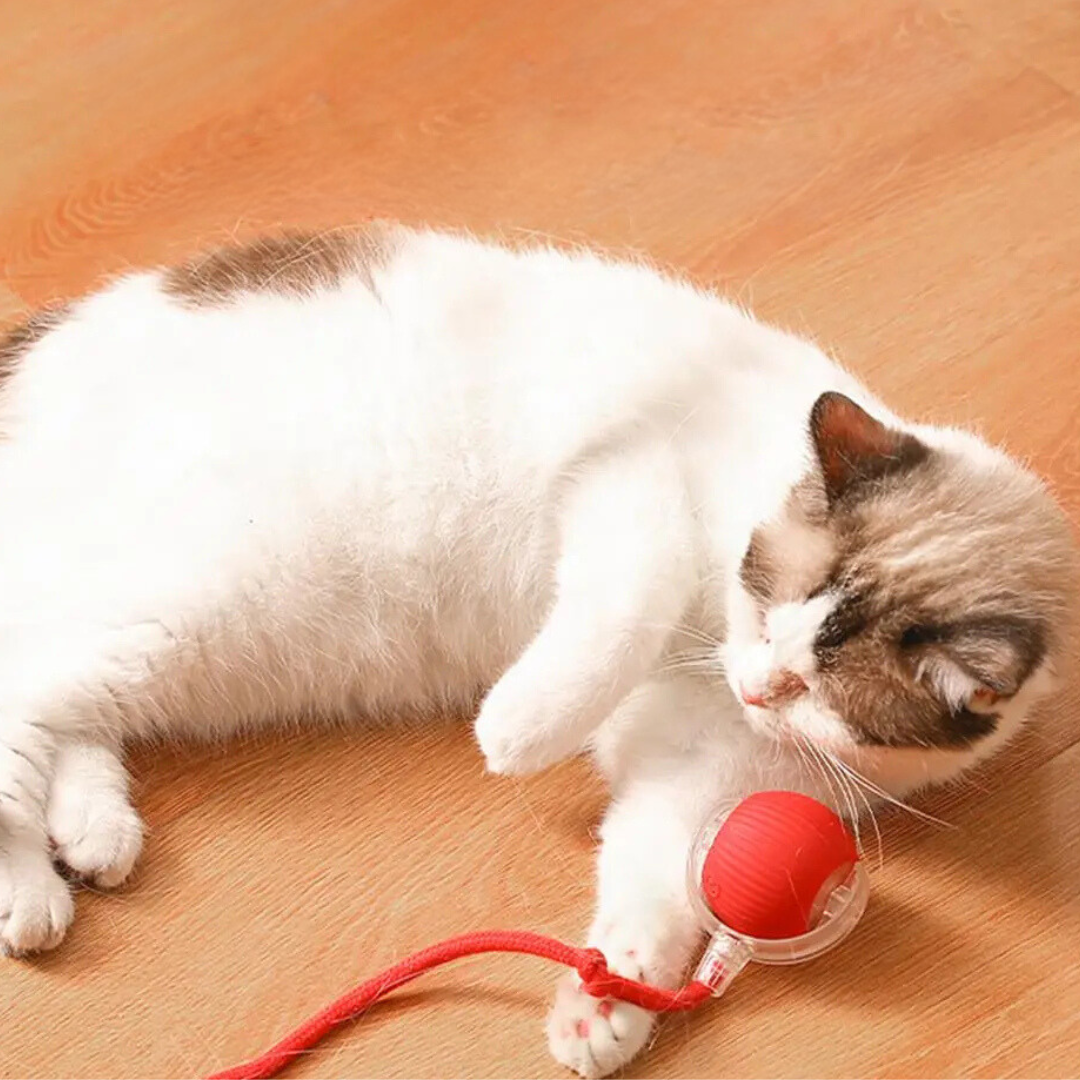 FelineFun | Interaktive Jagdball für Katzen