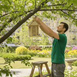 Handcrafted Wooden Birdhouse with Built-in Water Feature