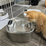 AquaViva | Smarte Trinkbrunnen für Katzen und Hunde – 3,2L Edelstahl mit Filter