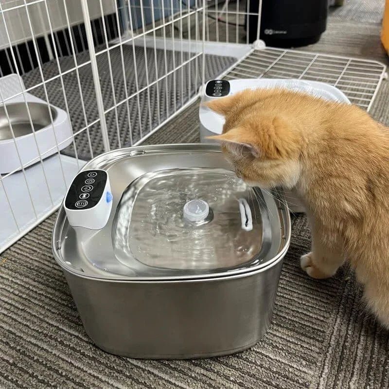 AquaViva | Smarte Trinkbrunnen für Katzen und Hunde – 3,2L Edelstahl mit Filter