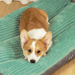 Orthopädisches Hundebett – Waschbarer, weicher Komfort für Hunde