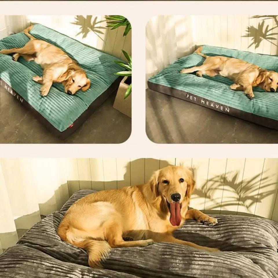 Orthopädisches Hundebett – Waschbarer, weicher Komfort für Hunde