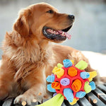 FidoQuest | Interaktives Hundespielzeug – Schnüffelspaß