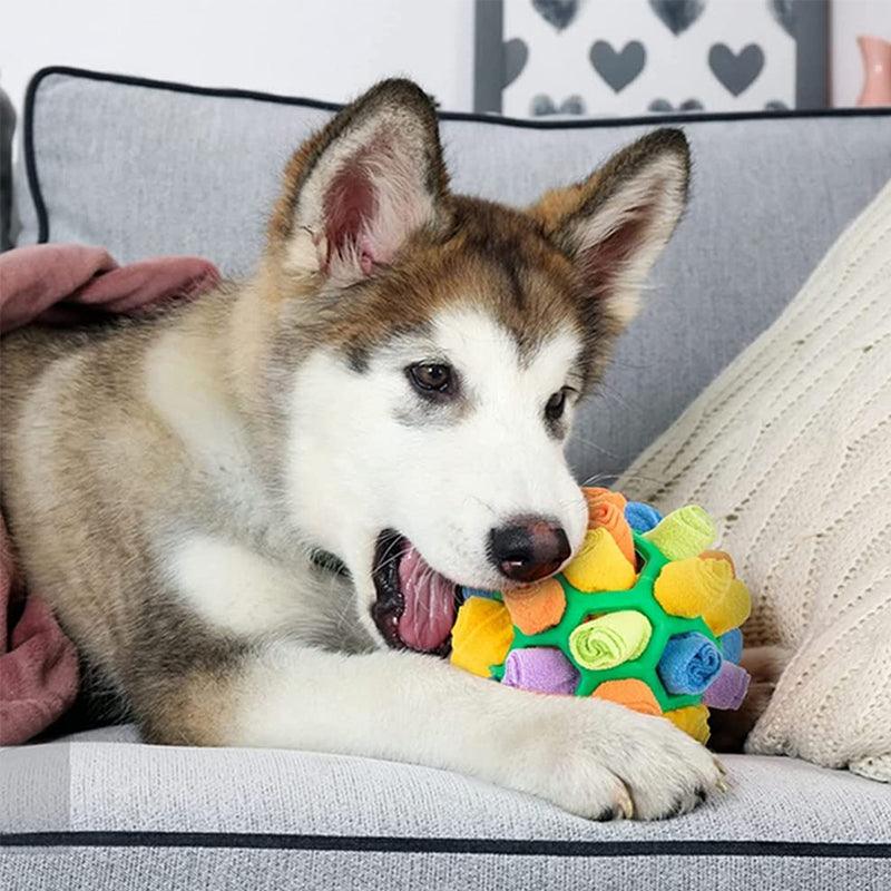 FidoQuest | Interaktives Hundespielzeug – Schnüffelspaß