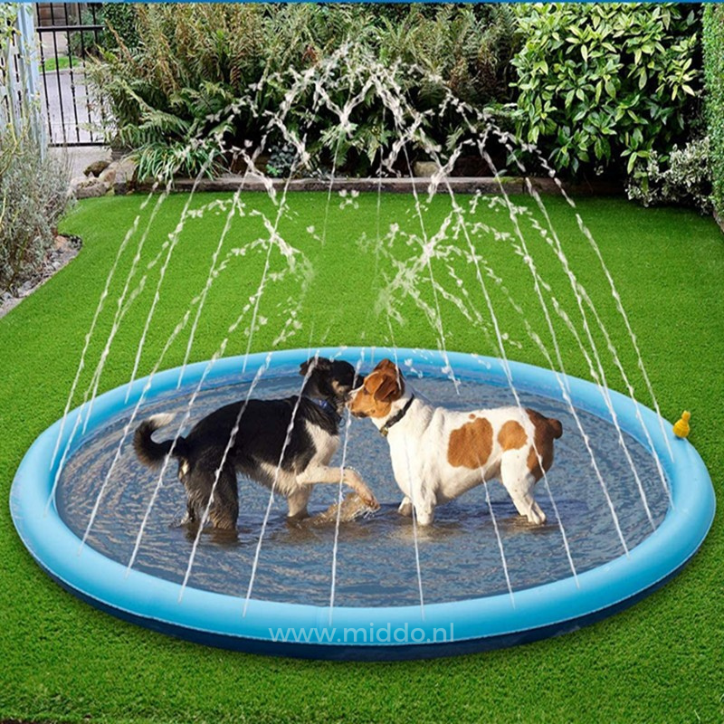 Refreshing Water Feature for Children and Pets | AquaJoy