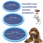 Refreshing Water Feature for Children and Pets | AquaJoy