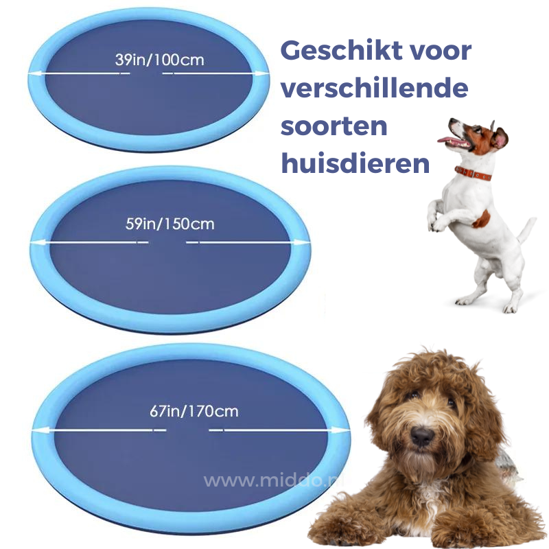 Refreshing Water Feature for Children and Pets | AquaJoy
