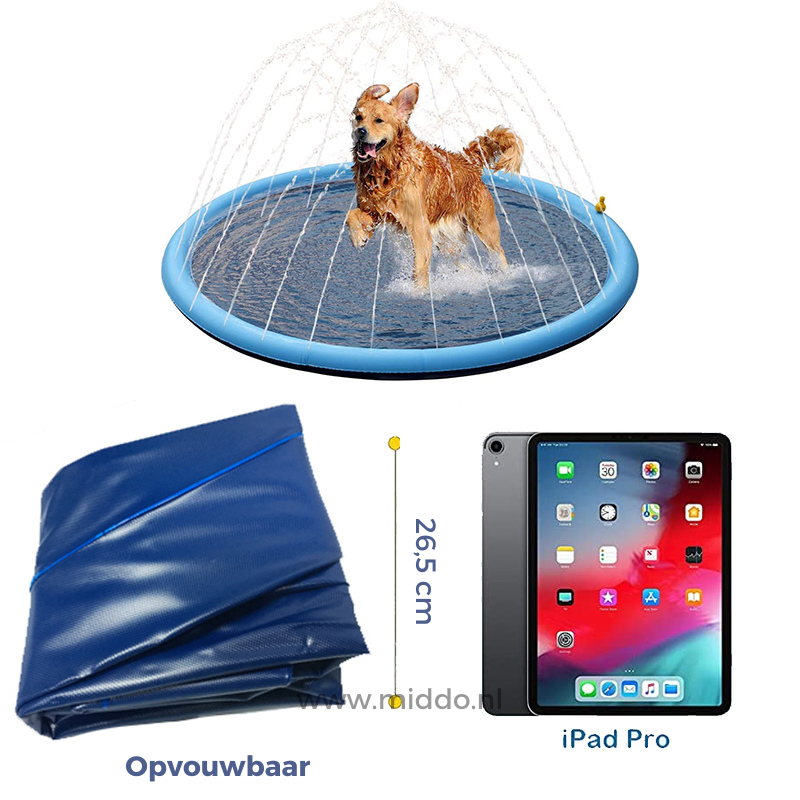 Refreshing Water Feature for Children and Pets | AquaJoy