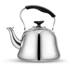 Eleganter Edelstahl Teekessel für den Herd | AromaPlus
