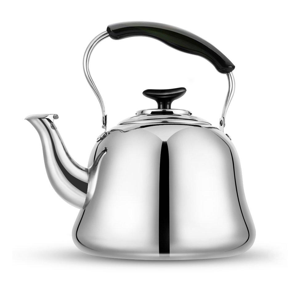 Eleganter Edelstahl Teekessel für den Herd | AromaPlus