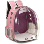 Transparent Bubble Backpack for Pets – Comfortable Travel Solution