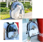 Transparent Bubble Backpack for Pets – Comfortable Travel Solution