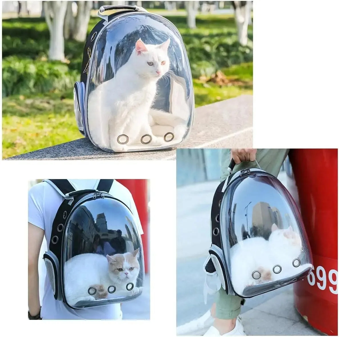 Transparent Bubble Backpack for Pets – Comfortable Travel Solution