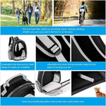 Transparent Bubble Backpack for Pets – Comfortable Travel Solution