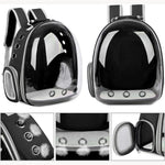 Transparent Bubble Backpack for Pets – Comfortable Travel Solution