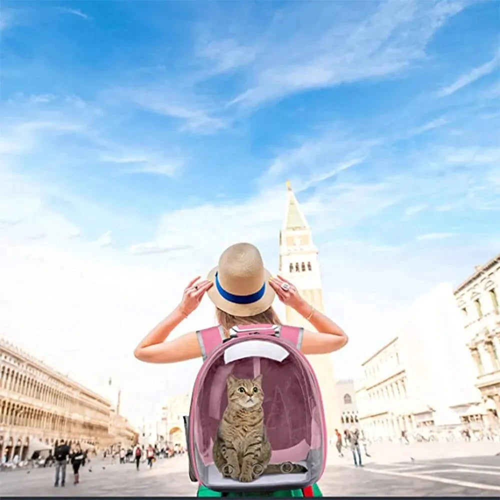 Transparent Bubble Backpack for Pets – Comfortable Travel Solution