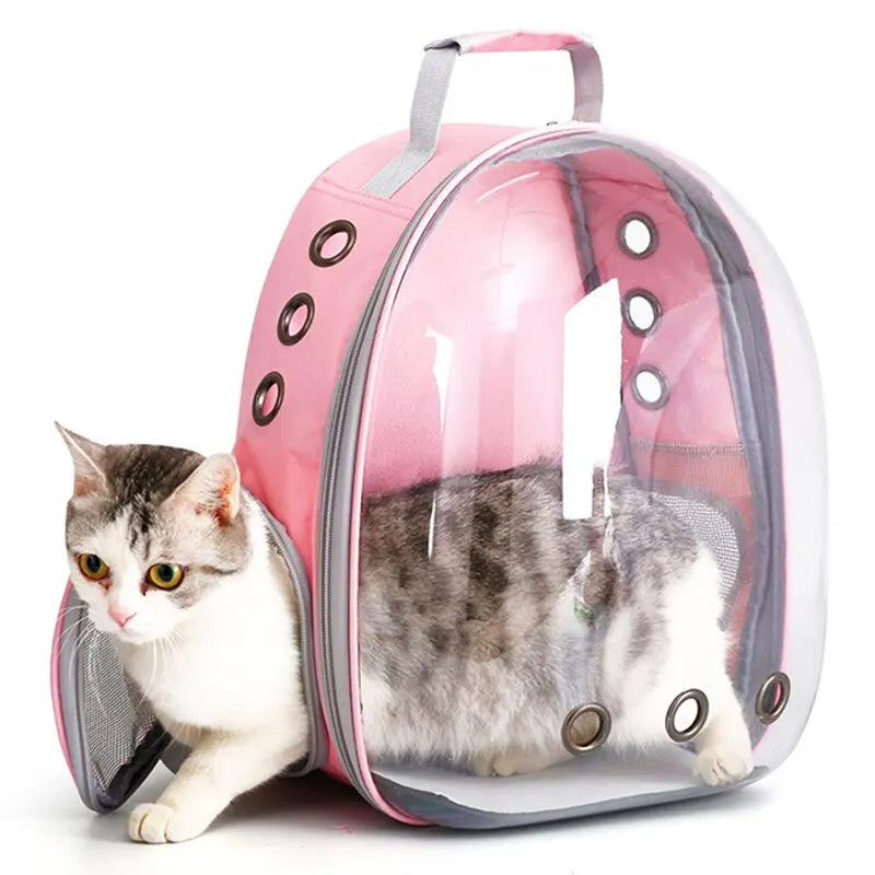Transparent Bubble Backpack for Pets – Comfortable Travel Solution
