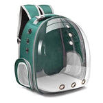 Transparent Bubble Backpack for Pets – Comfortable Travel Solution