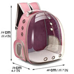 Transparent Bubble Backpack for Pets – Comfortable Travel Solution