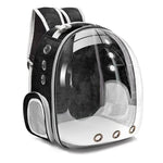 Transparent Bubble Backpack for Pets – Comfortable Travel Solution