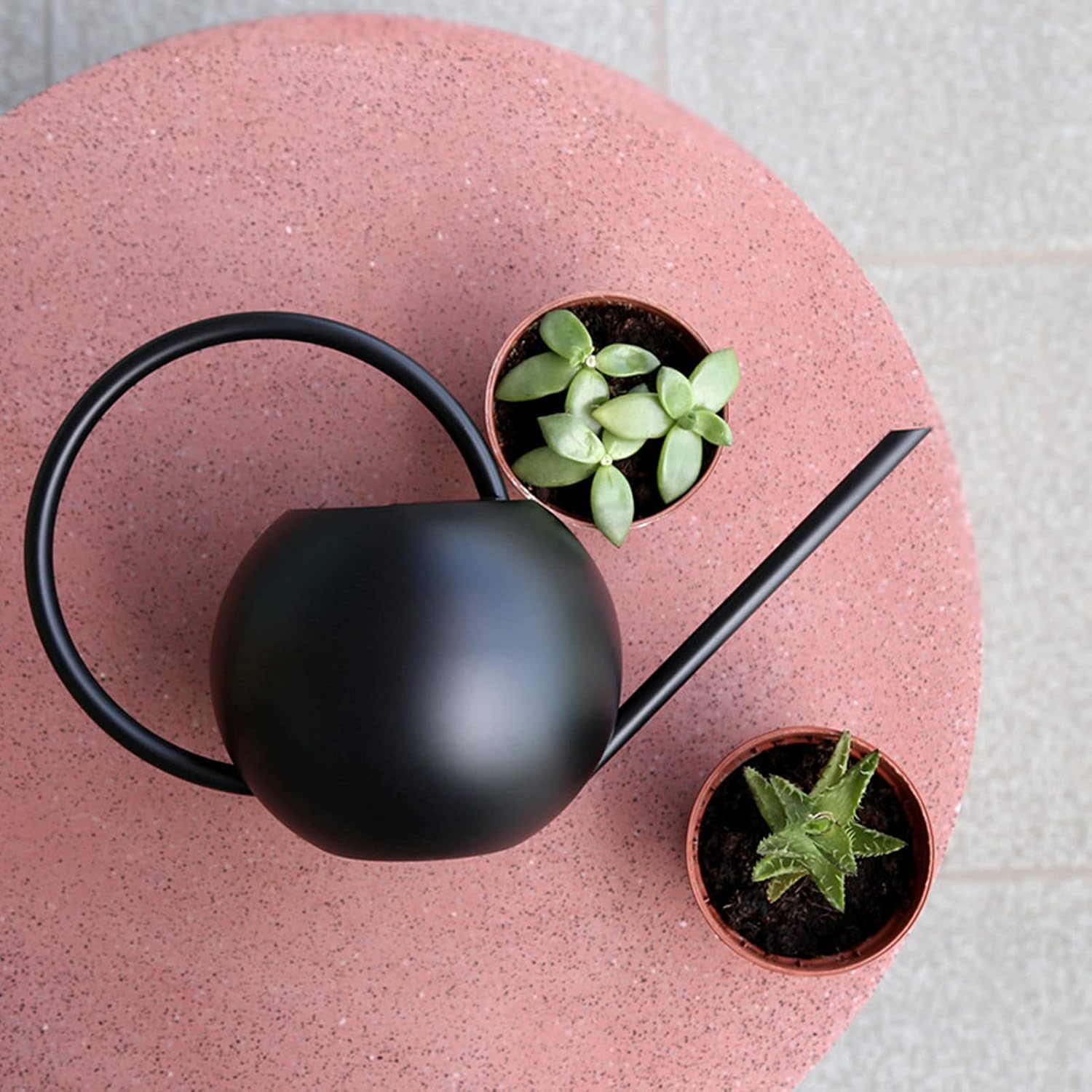 Plant Protector - Efficient Watering Globe for Your Home
