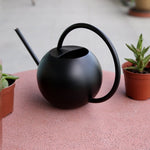 Plant Protector - Efficient Watering Globe for Your Home