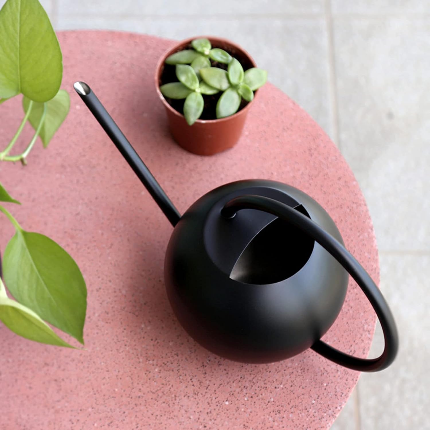 Plant Protector - Efficient Watering Globe for Your Home