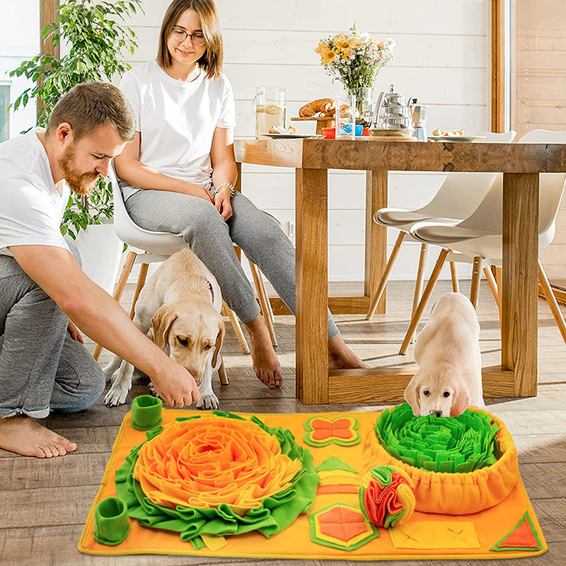 Schnüffelteppich für Hunde – Interaktives Spielzeug